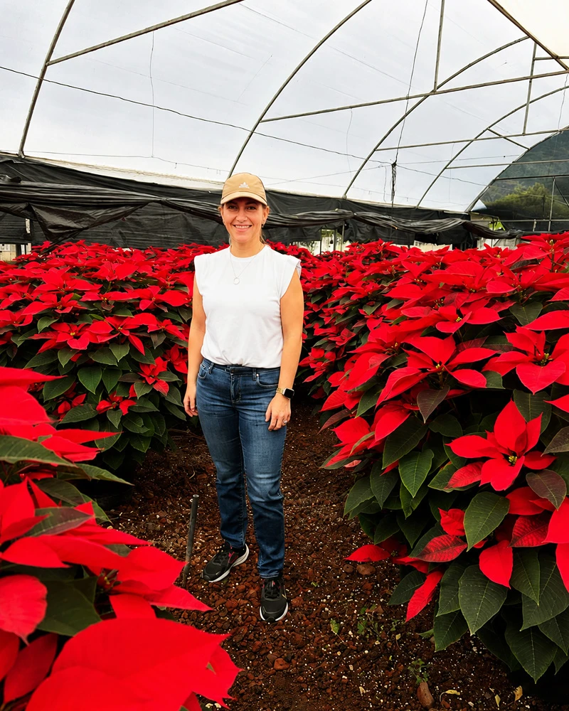Dueña de Kaleia en invernadero, entre flores cultivadas para la producción floral