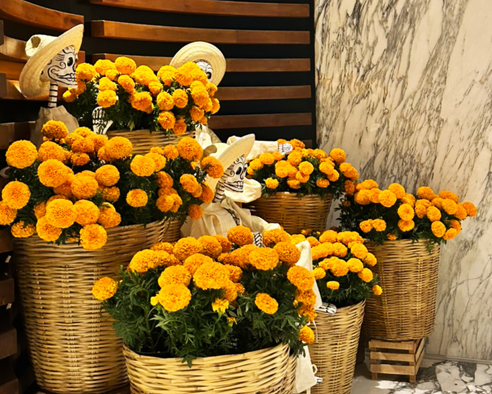 Colección de temporada con flores de cempasúchil